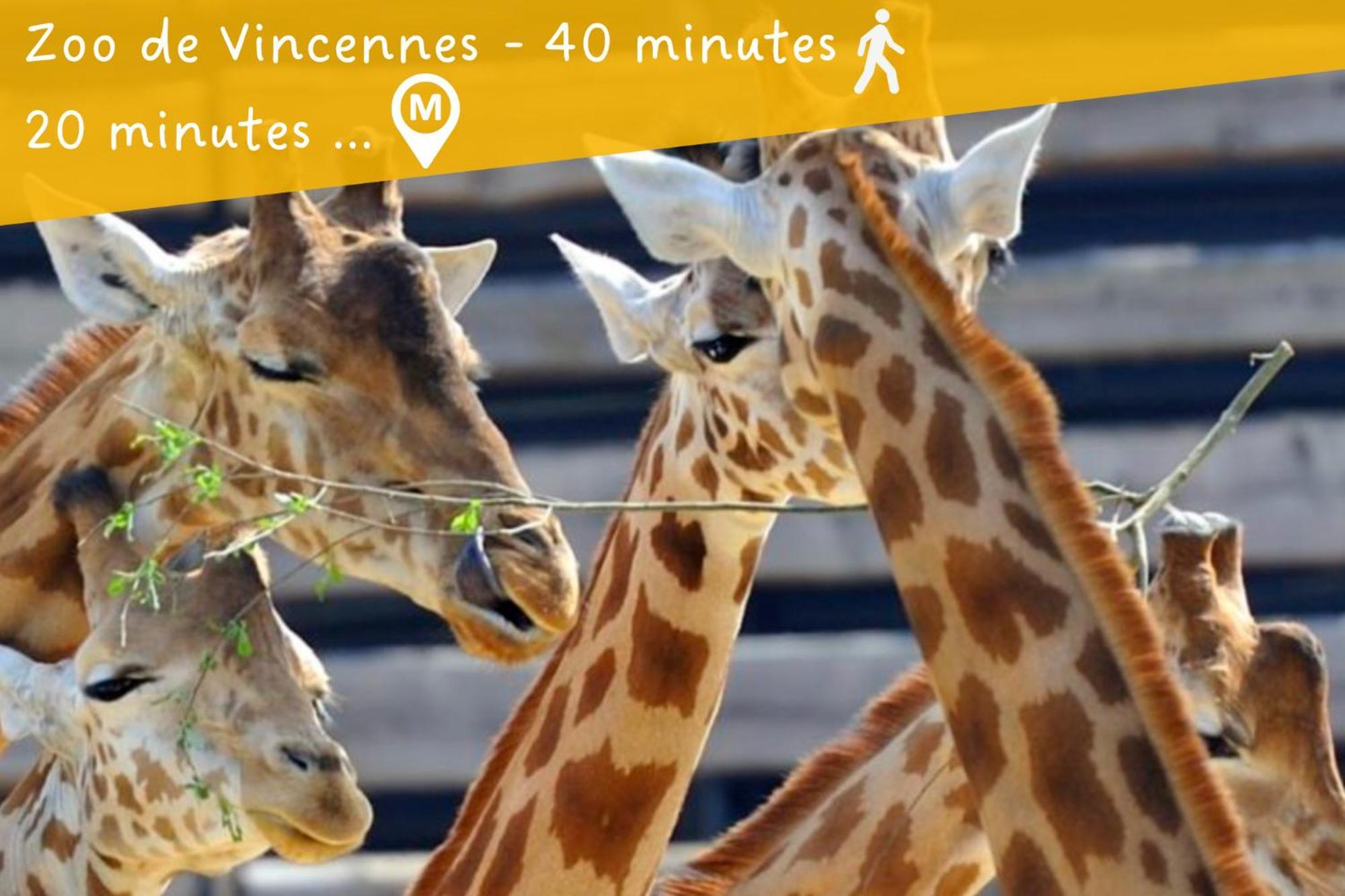 Appartement Entier Calme - Parking Free - Proche Paris Et Chateau - Wifi Hd Vincennes Luaran gambar